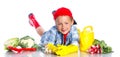 Cute little boy with scoop, fresh organic vegetables and watering can Royalty Free Stock Photo