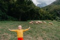 Cute little boy with a sheeps on farm, best friends, boy and lamb against the backdrop of greenery, poddy and child on Royalty Free Stock Photo