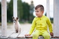 Cute little boy sitting on footbridge with his dog. Protection of animals Royalty Free Stock Photo