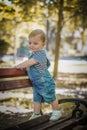 Cute little boy standing in the park on a bench standing and looking thoughtfully at the camera Royalty Free Stock Photo