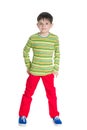 Cute little boy stands Royalty Free Stock Photo