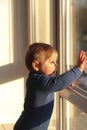 A cute little boy stands by the window and looks at the street. Hard light, sunrise or sunset Royalty Free Stock Photo