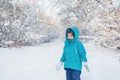 Cute little boy stands in winter forest Royalty Free Stock Photo