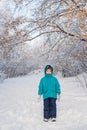 Cute little boy stands in winter park Royalty Free Stock Photo