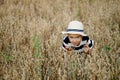 Cute little boy in a straw hat is sitting on an oat field playing hide and seek. Funny kid hiding in a field with oats. Royalty Free Stock Photo