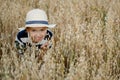 Cute little boy in a straw hat is sitting on an oat field playing hide and seek. Funny kid hiding in a field with oats. Royalty Free Stock Photo