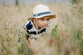 Cute little boy in a straw hat is sitting on an oat field playing hide and seek. Funny kid hiding in a field with oats. Royalty Free Stock Photo