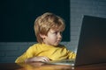 Cute little boy using laptop at school. Boy watching a Movie on Laptop Computer Seriously at Home. Education, school Royalty Free Stock Photo