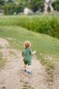 Cute little boy walking along the path on the background of reeds. Rear view. Walk in park. Family life Royalty Free Stock Photo