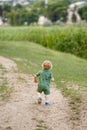 Cute little boy walking along the path on the background of reeds. Rear view. Walk in park. Family life Royalty Free Stock Photo