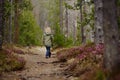 Cute little boy walks in Swiss national Park on spring Royalty Free Stock Photo