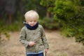 Cute little boy walks in Swiss national Park on spring. Hiking with little kids Royalty Free Stock Photo