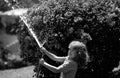 Cute little boy watering flowers in the garden at summer day. Child farmer with garden hose in planting plant. hose Royalty Free Stock Photo