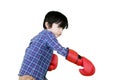 Cute little boy wearing boxing gloves on studio Royalty Free Stock Photo