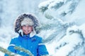 Cute little boy wearing warm clothes playing on winter forest Royalty Free Stock Photo