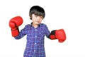 Cute little boy wears red boxing gloves on studio Royalty Free Stock Photo