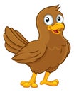 Cute Bird Cartoon Character