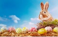 Cute little brown Easter bunny with decorated eggs