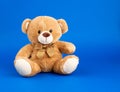 Cute little brown teddy bear, copy space Royalty Free Stock Photo