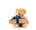 Cute little brown teddy bear holds a brown box with a blue ribbon Royalty Free Stock Photo