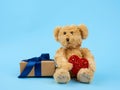 Cute little brown teddy bear holds a brown box with a blue ribbon Royalty Free Stock Photo