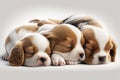 Cute Little Brown and White Puppies Sleeping Together on a White Background - Generative AI