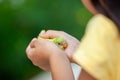 Cute baby budgie bird on child hand. Asian child girl play with her pet bird with gentle