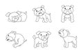 Cute Little Bulldog Collection Black And White Illustration