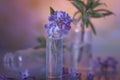 Cute little bunch of lilacs. Still life. Royalty Free Stock Photo