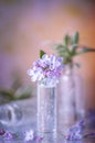 Cute little bunch of lilacs. Still life. Royalty Free Stock Photo
