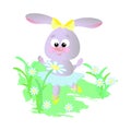 A cute little bunny in a ballerina`s skirt is dancing in the meadow