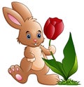 Cute little bunny cartoon holding a flower Royalty Free Stock Photo