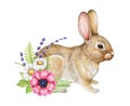 Cute little bunny with flower decor. Watercolor hand drawn illustration. Springtime small rabbit with garden floral