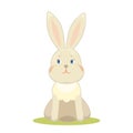 Cute little bunny illustration on white background