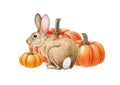 Cute little bunny with pumpkins. Hand drawn illustration. Small rabbit sitting with pile of orange pumpkins. Cozy rustic