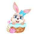 Cute little bunny sitting in basket kawaii cartoon vector character Royalty Free Stock Photo