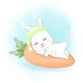 Cute Little Bunny sleeping on the carrot