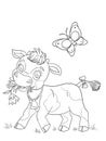 Cute little calf coloring page Royalty Free Stock Photo