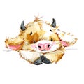 Cute little calf JPEG, PNG. funny cow watercolor illustration. cartoon bul. Royalty Free Stock Photo
