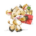 Cute little calf JPEG, PNG. funny cow watercolor illustration. cartoon bul.