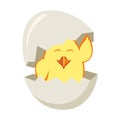A cute little cartoon chick hatched from an egg