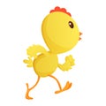 Cute little cartoon chick running somewhere isolated on a white background. Funny yellow chicken. Vector illustration of Royalty Free Stock Photo