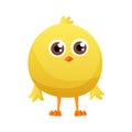 Cute little cartoon chick standing isolated on a white background. Funny yellow chicken. Vector illustration of little Royalty Free Stock Photo
