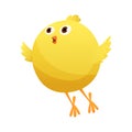 Cute little cartoon chick try to fly isolated on a white background. Funny yellow chicken. Vector illustration of little Royalty Free Stock Photo