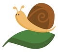 A cute little cartoon brown snail crawling on a dark green leaf vector or color illustration Royalty Free Stock Photo