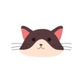 cute little cat feline head character