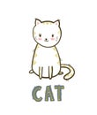 Cute little cat. Vector isolated illustration.