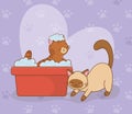 Cute little cats mascots characters Royalty Free Stock Photo