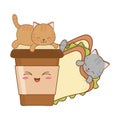 Cute little cats with sandwich kawaii characters