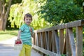 Cute little caucasian boy, eating strawberries in the park Royalty Free Stock Photo